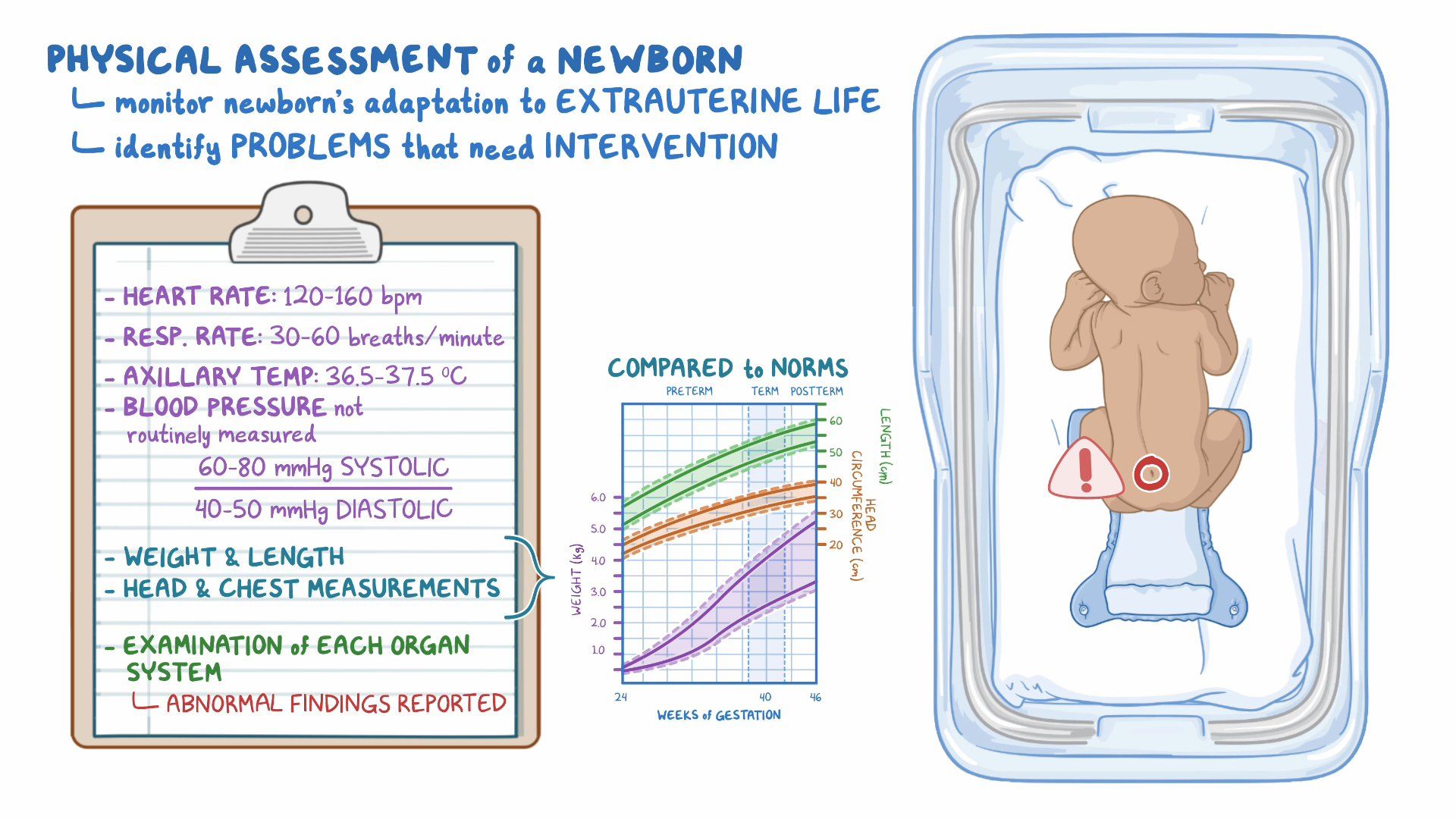 What To Expect: Understanding The Physical Characteristics Of Newborns