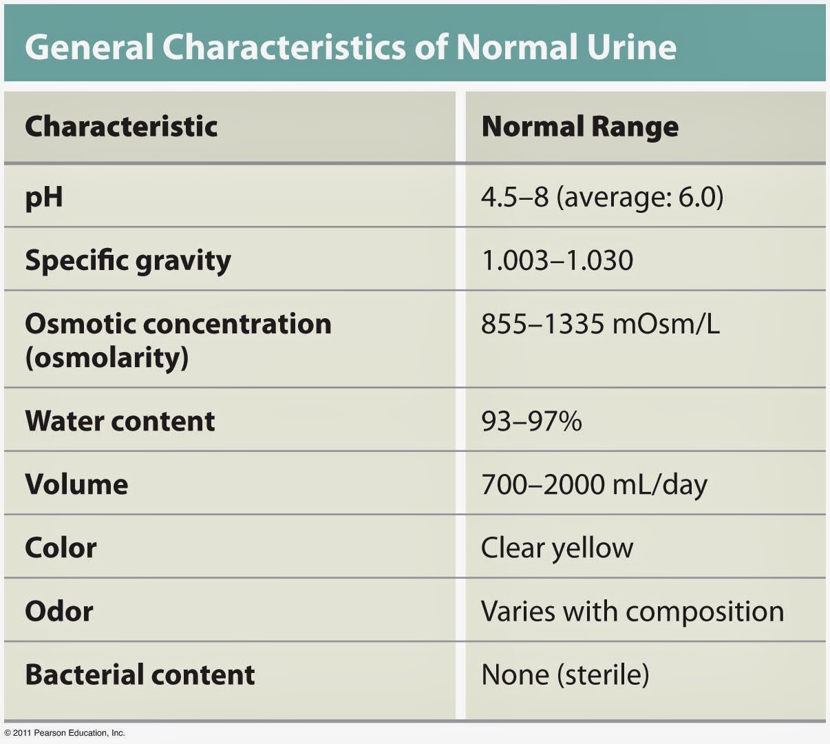 Understanding The Physical Characteristics Of Normal Urine