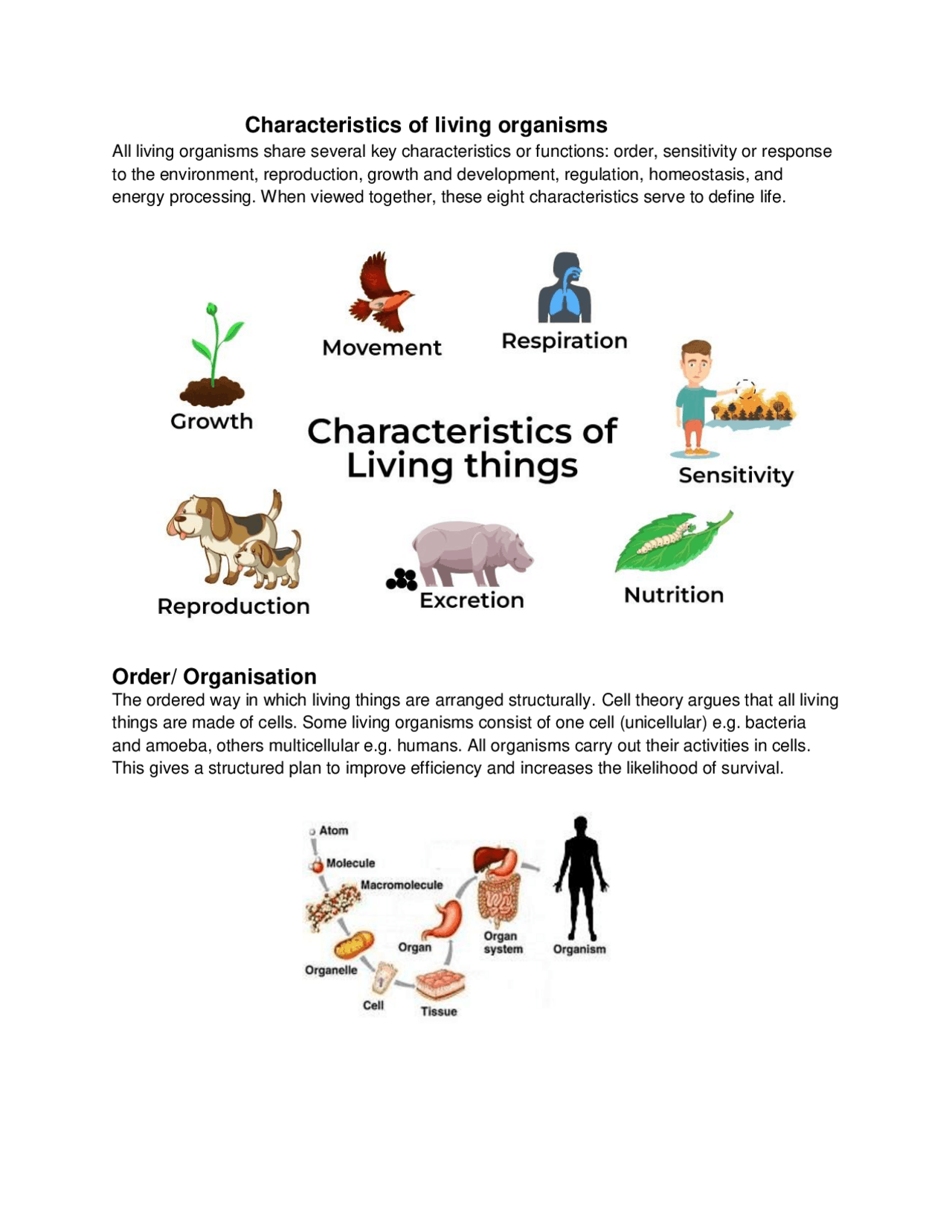 Understanding The Physical Characteristics Of Organisms