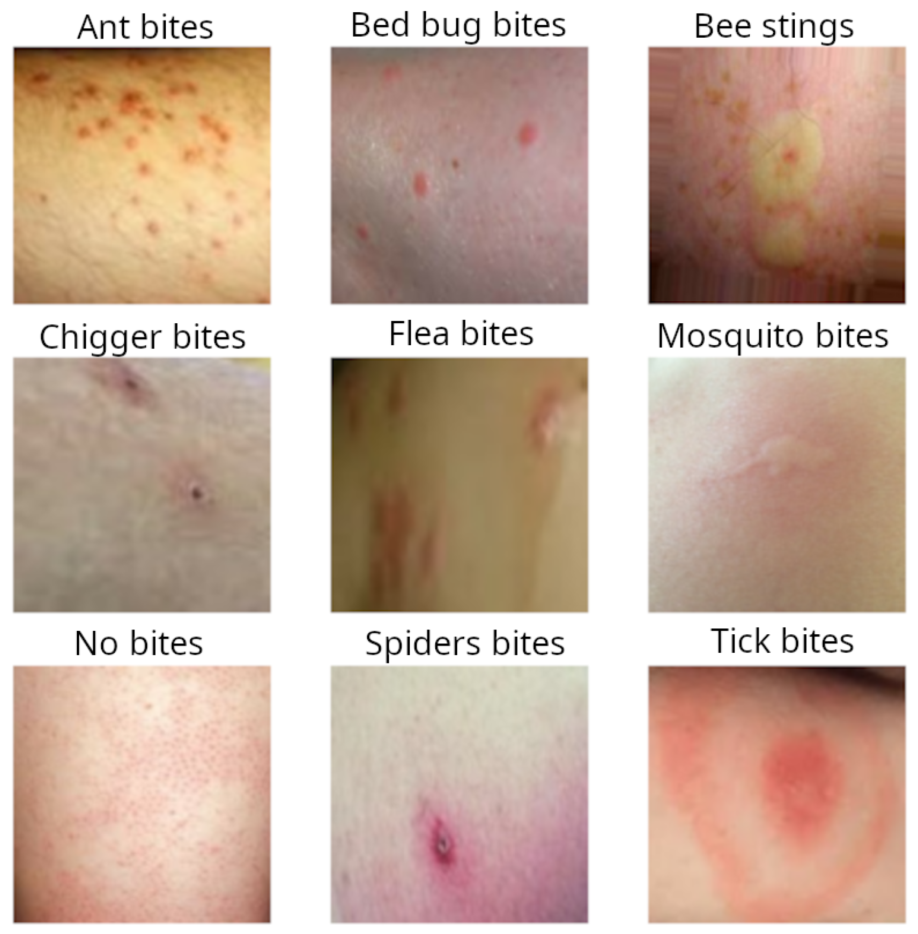 Picture Of Miracle Cures