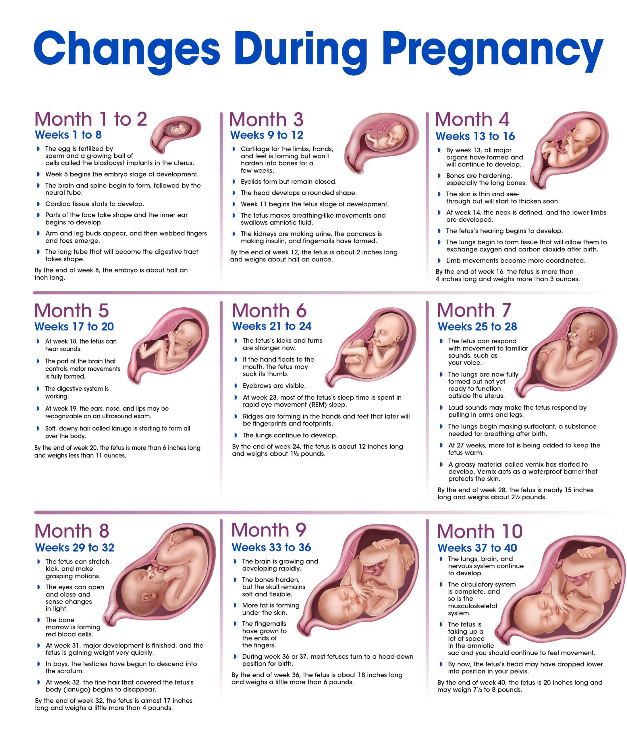 Pregnancy Insomnia Early