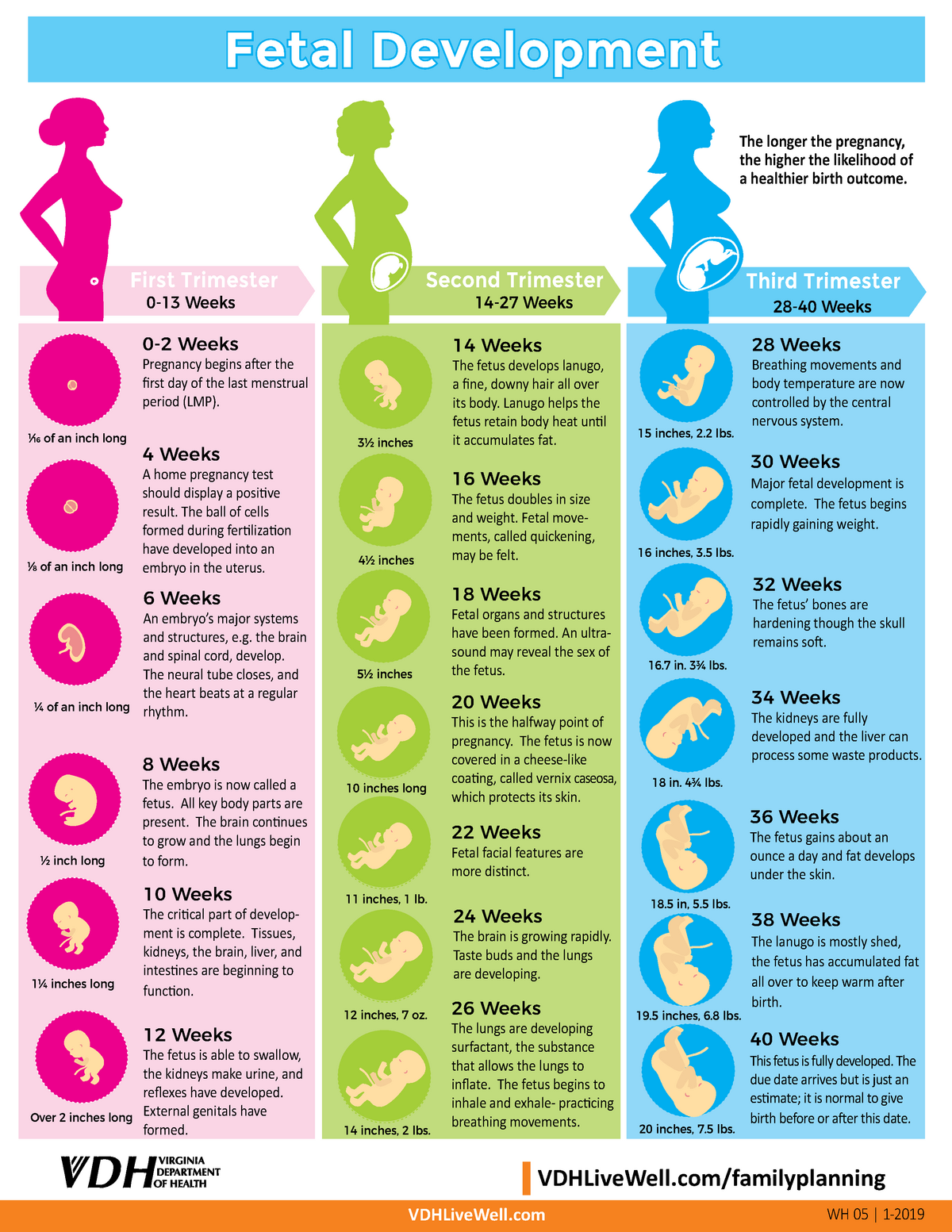 Prenatal Vitamins With Iron