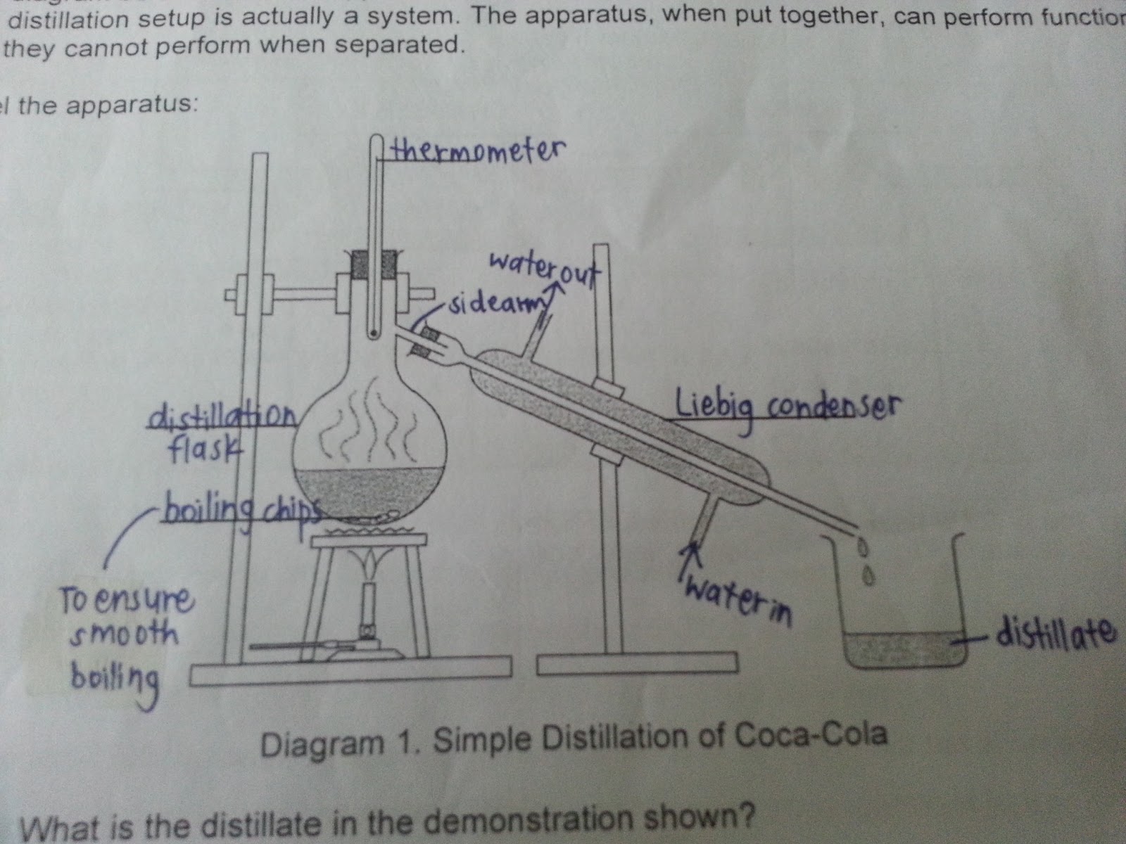 Process Of Transcription And Translation