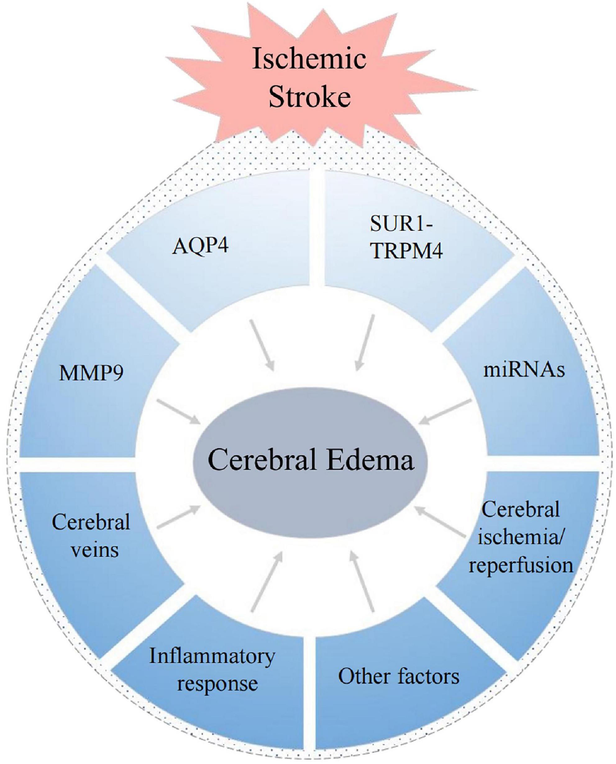 Pulmonary Fibrosis Life Expectancy