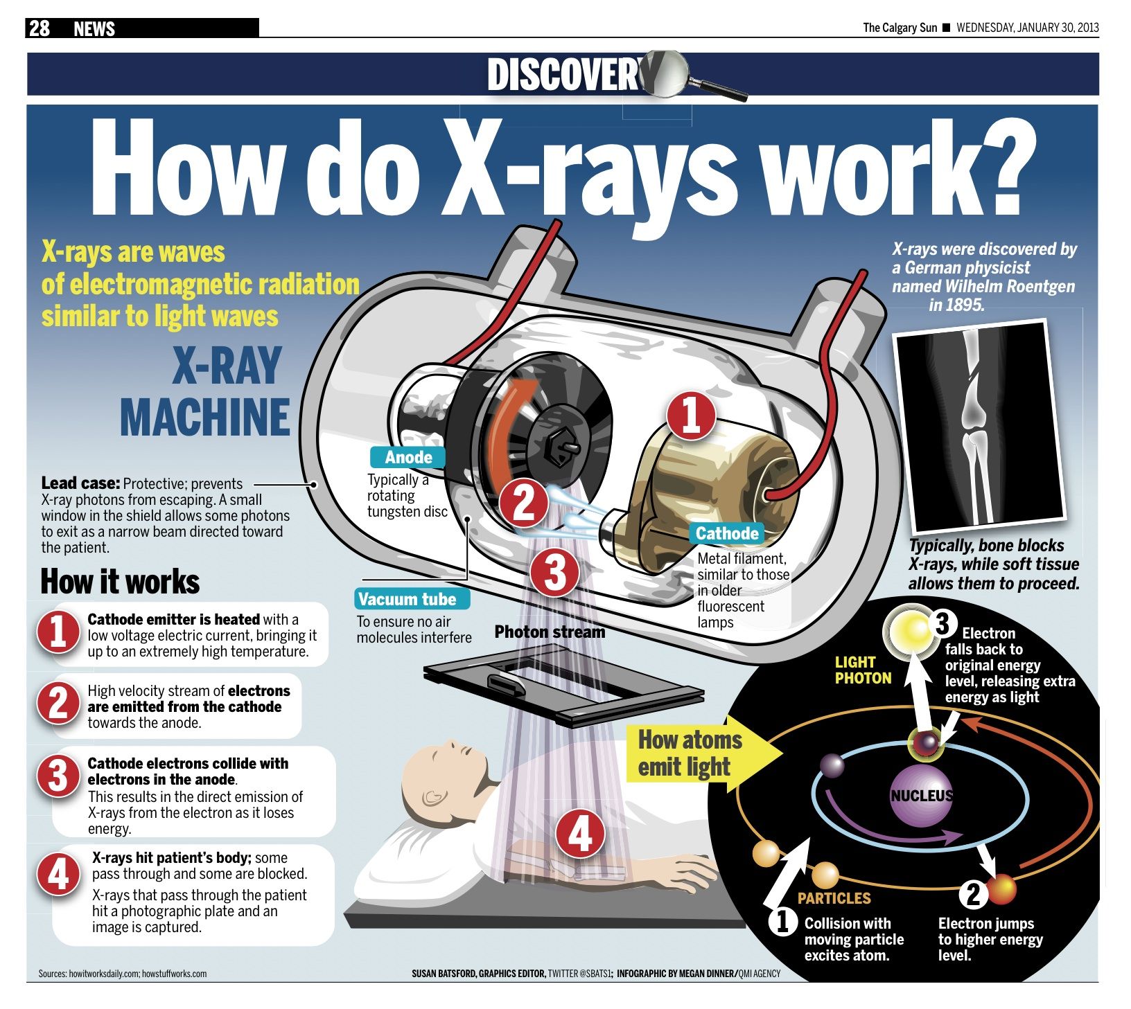 Radiology Anatomy