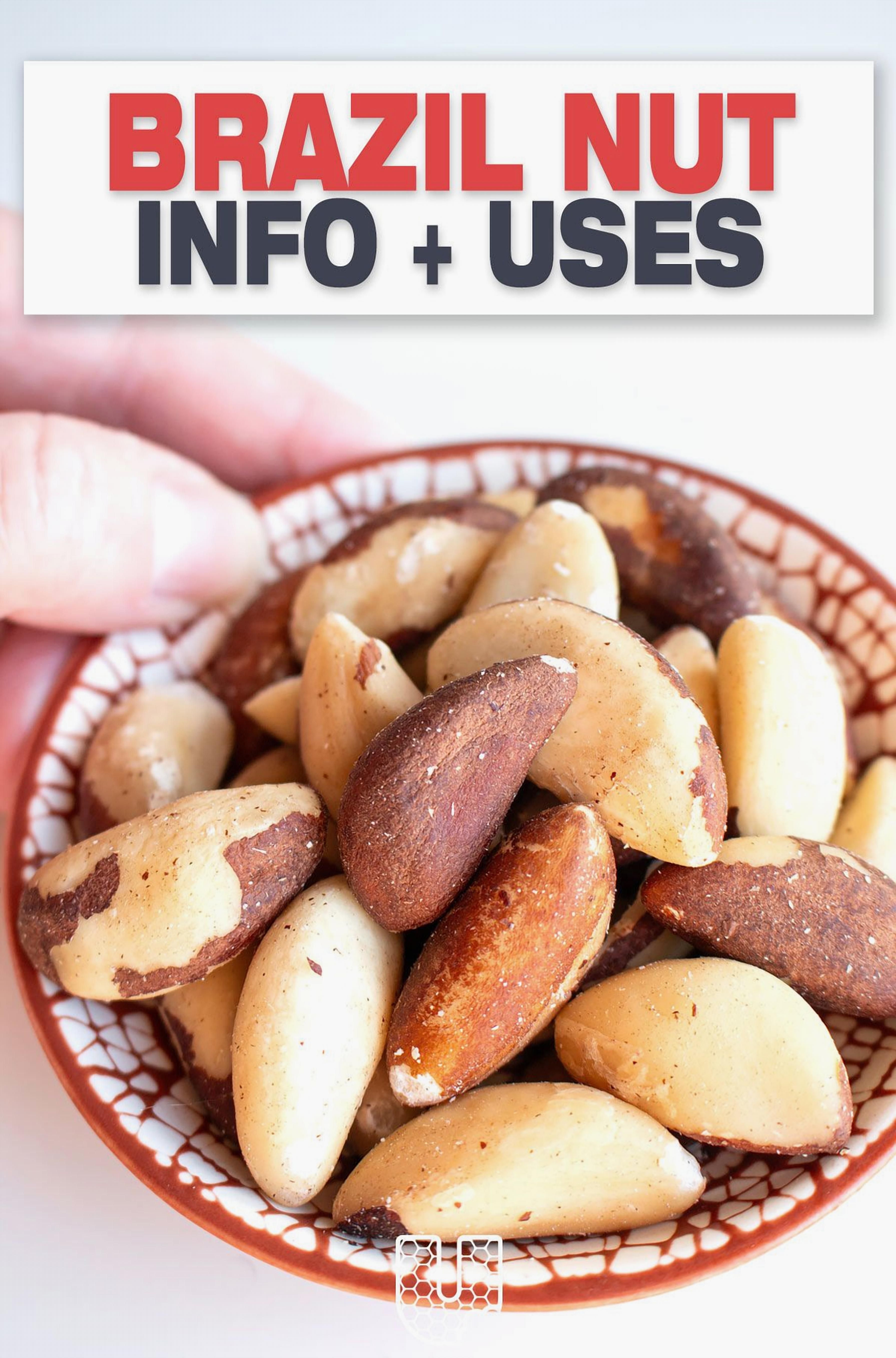 The Recommended Daily Intake Of Brazil Nuts Explained