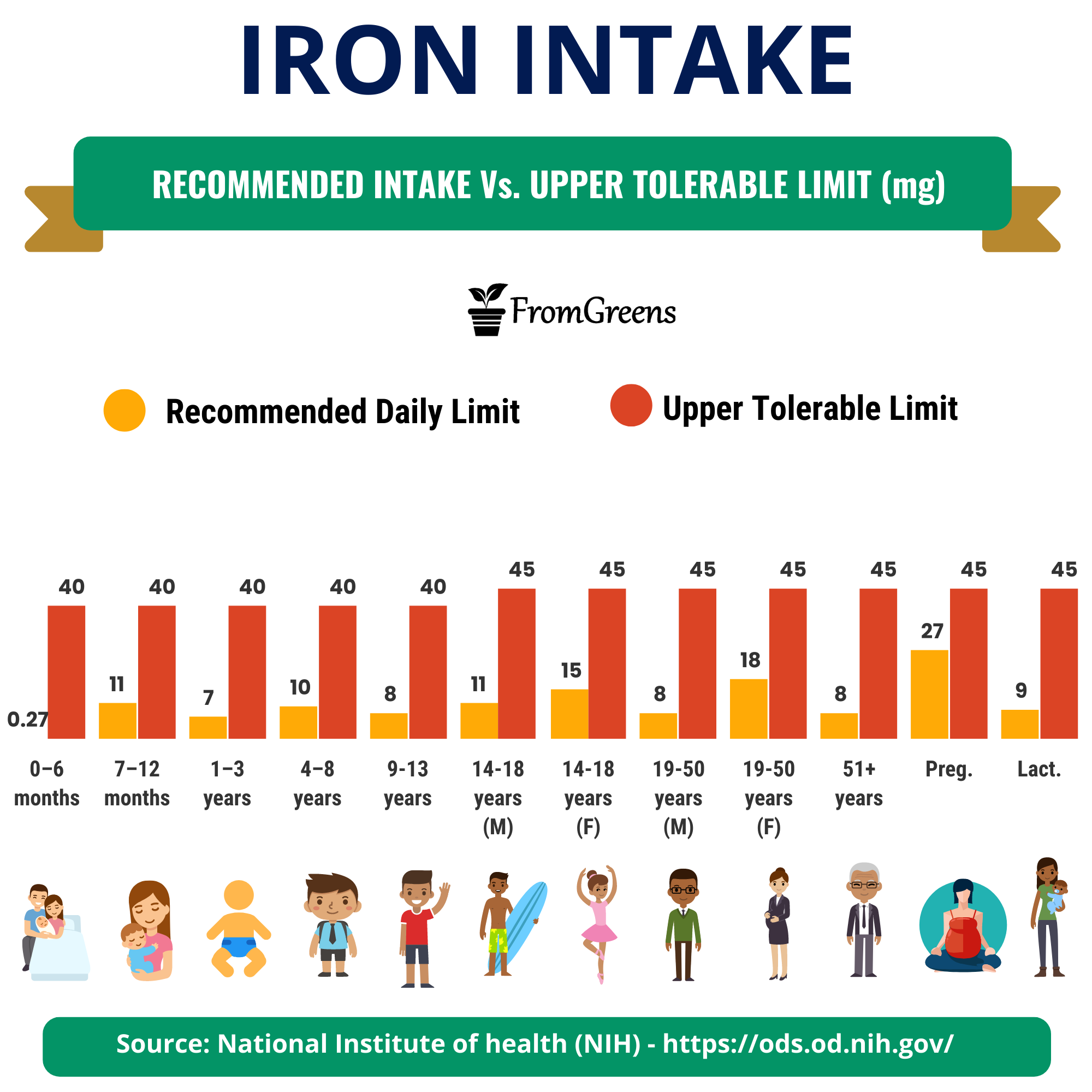 Recommended Daily Intake Of Iron For Adults: A Complete Guide