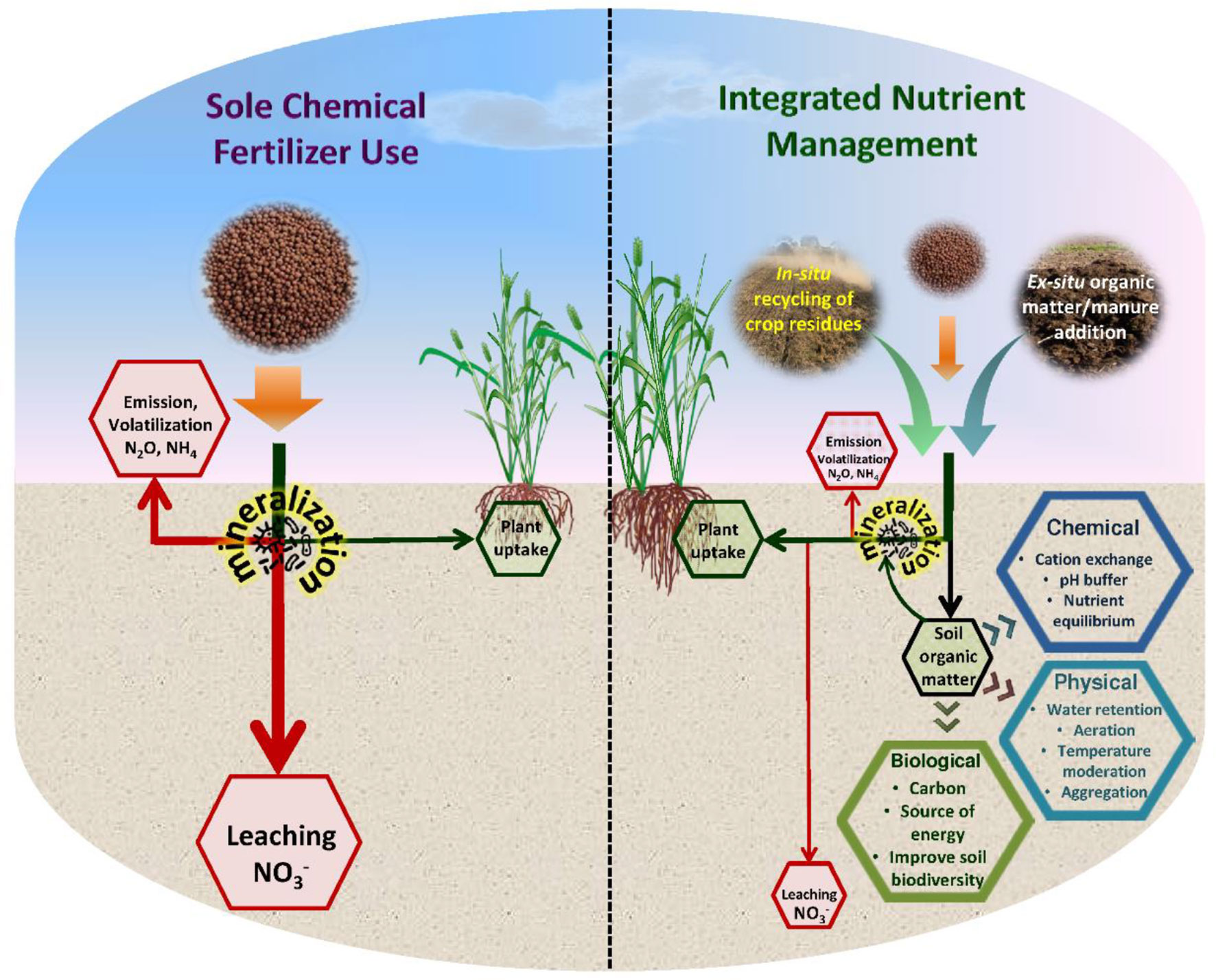 The Required Nutrient K Vintage Story: Why Older Soil Still Matters
