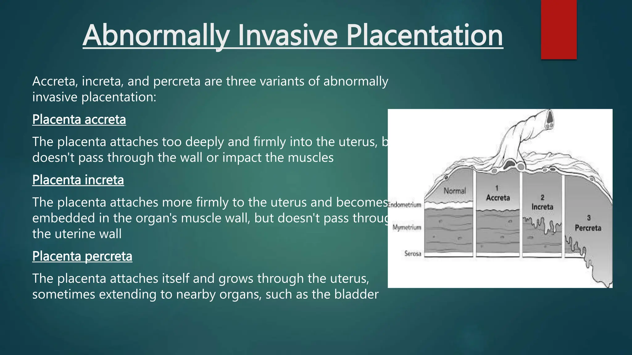 Understanding Risk Factors For Invasive Placentation: A Medical Guide