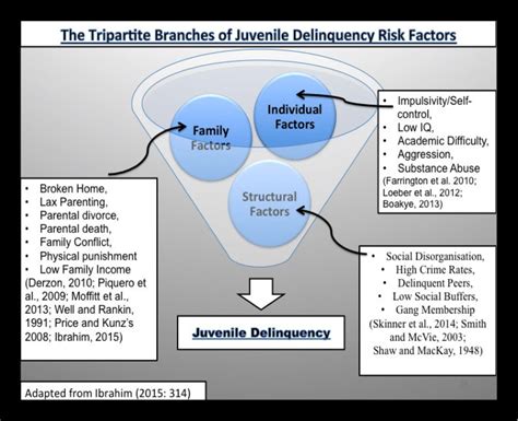 Understanding The Leading Risk Factors For Juvenile Delinquency