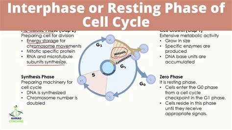 Σ Phase