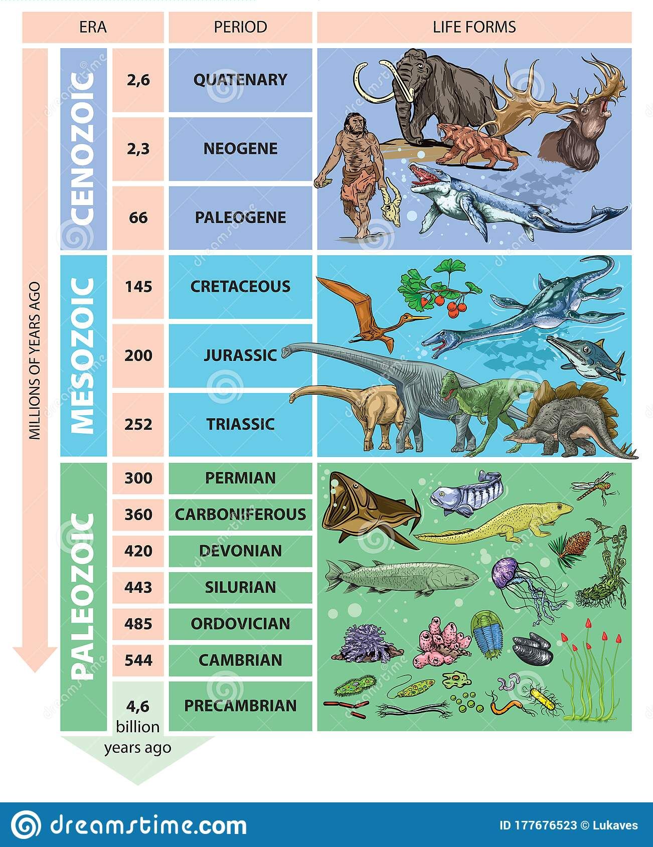 Scale Of Length