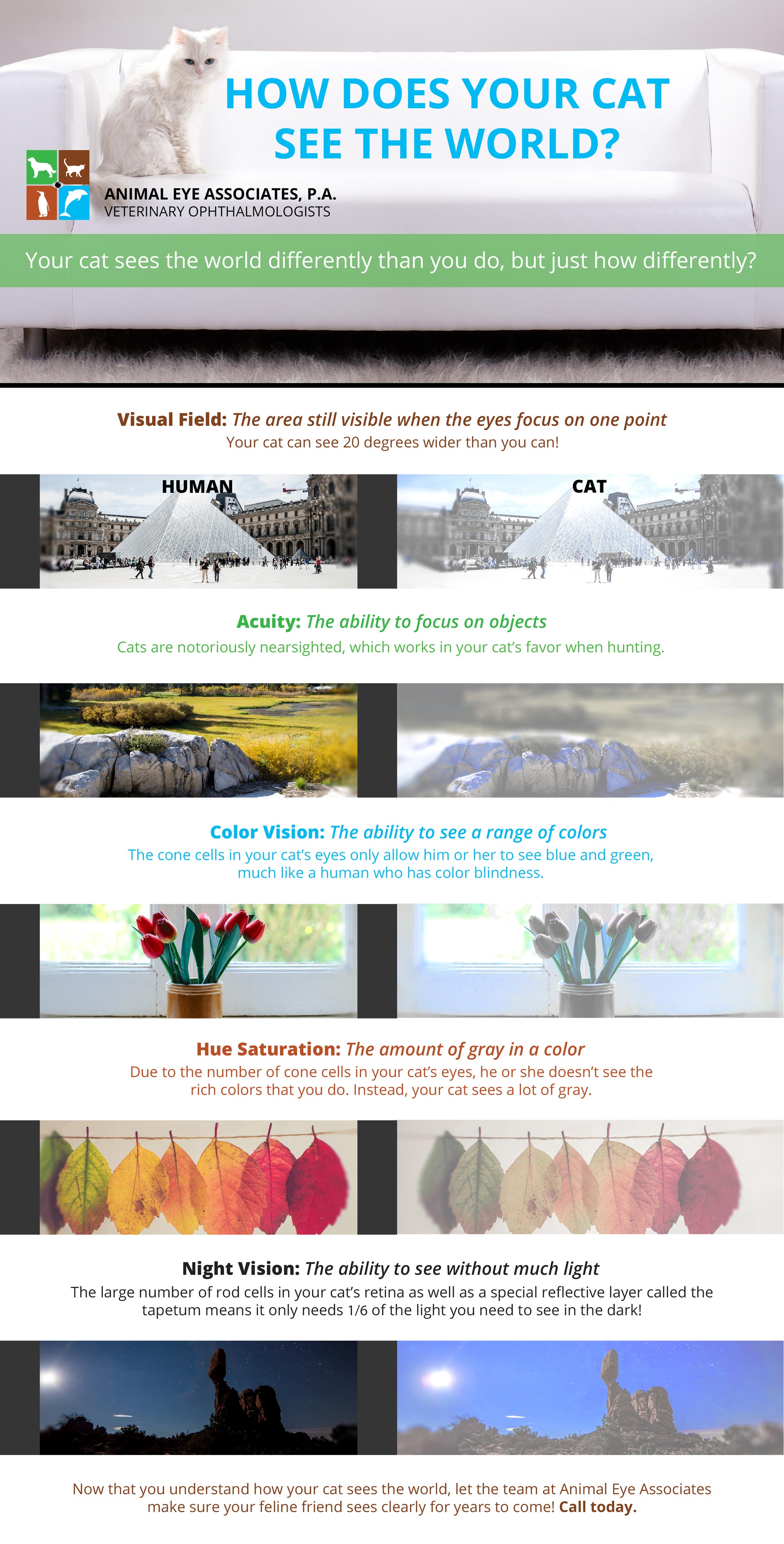 See And Do Images
