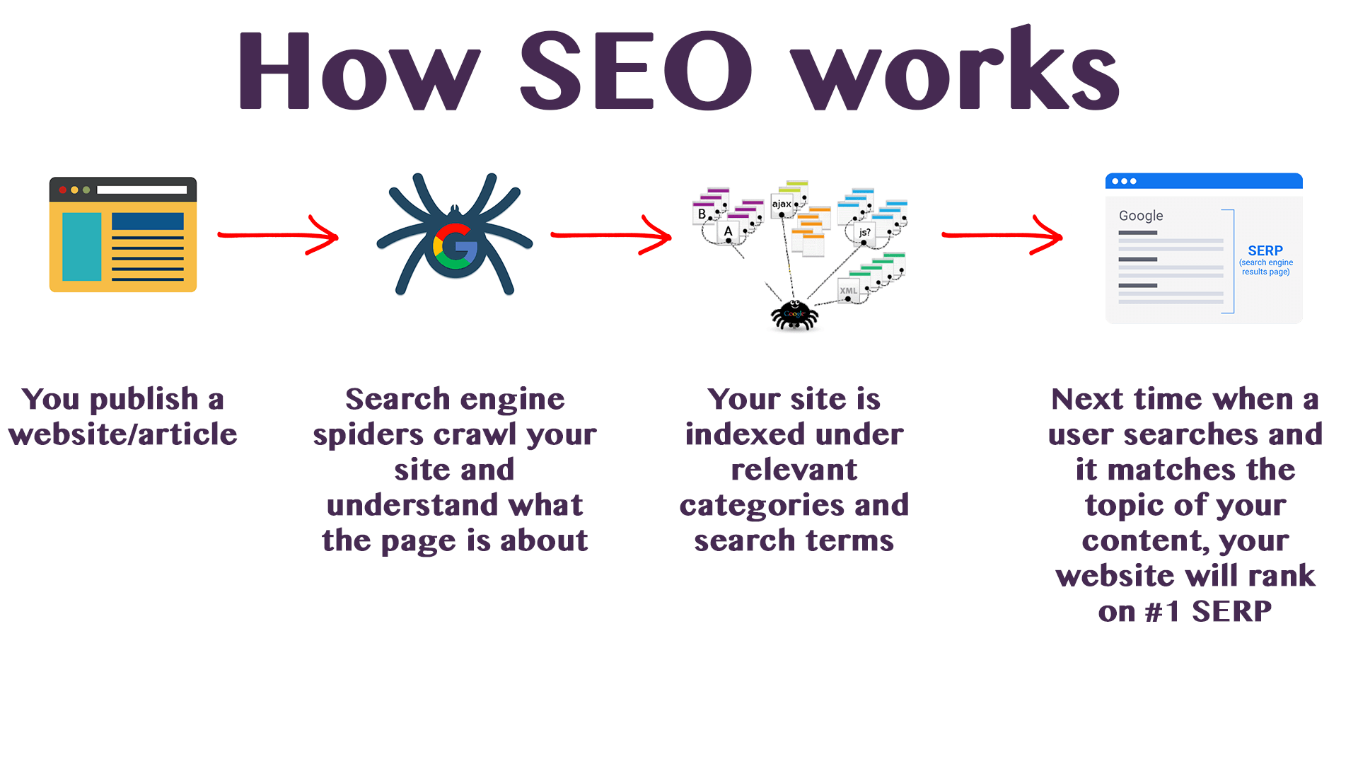 Seo Web Developer