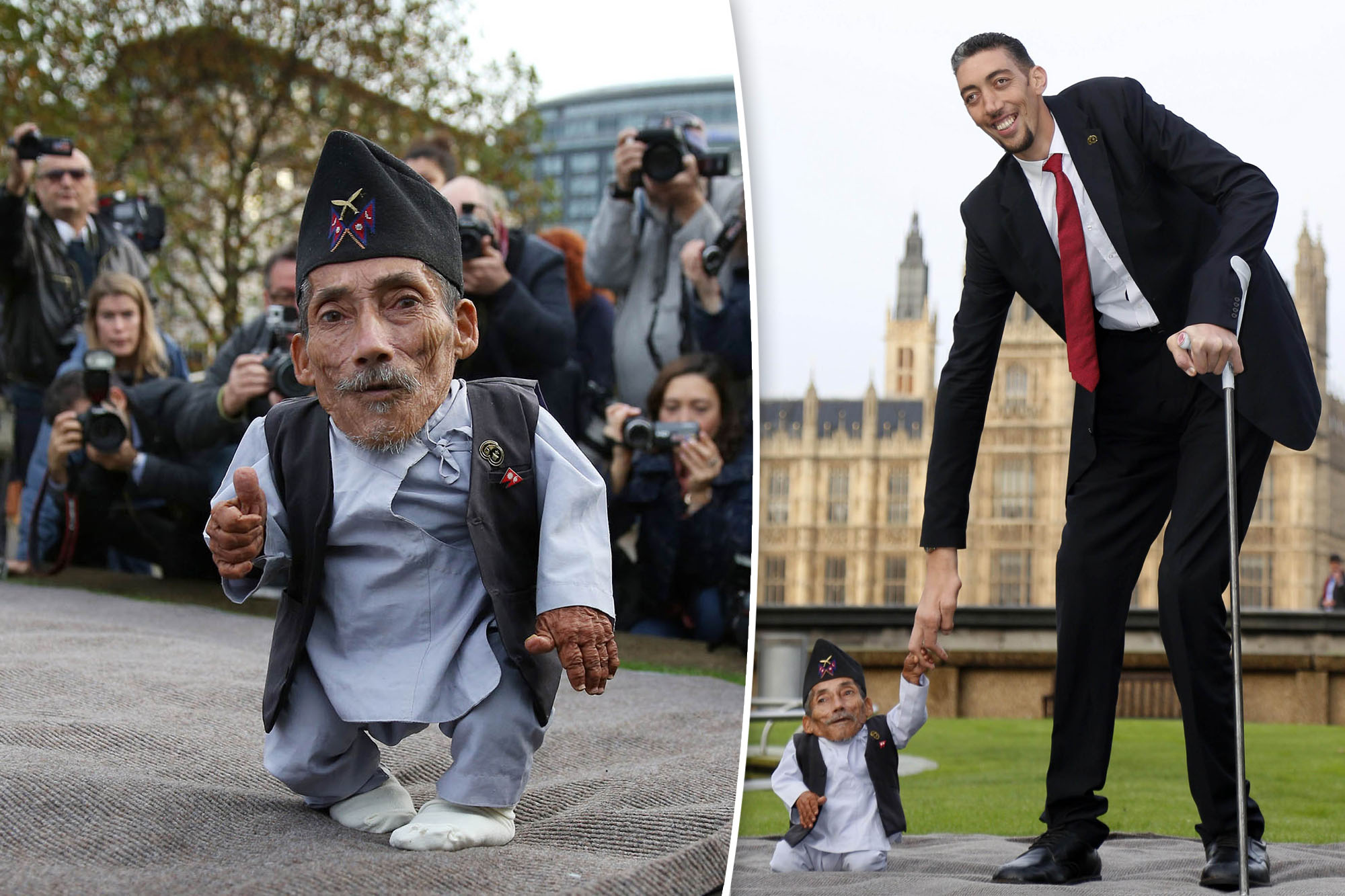 Who Is The Shortest In The World Height? A 2026 Update
