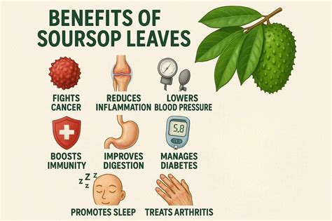 Soursop Leaf Tea Benefits