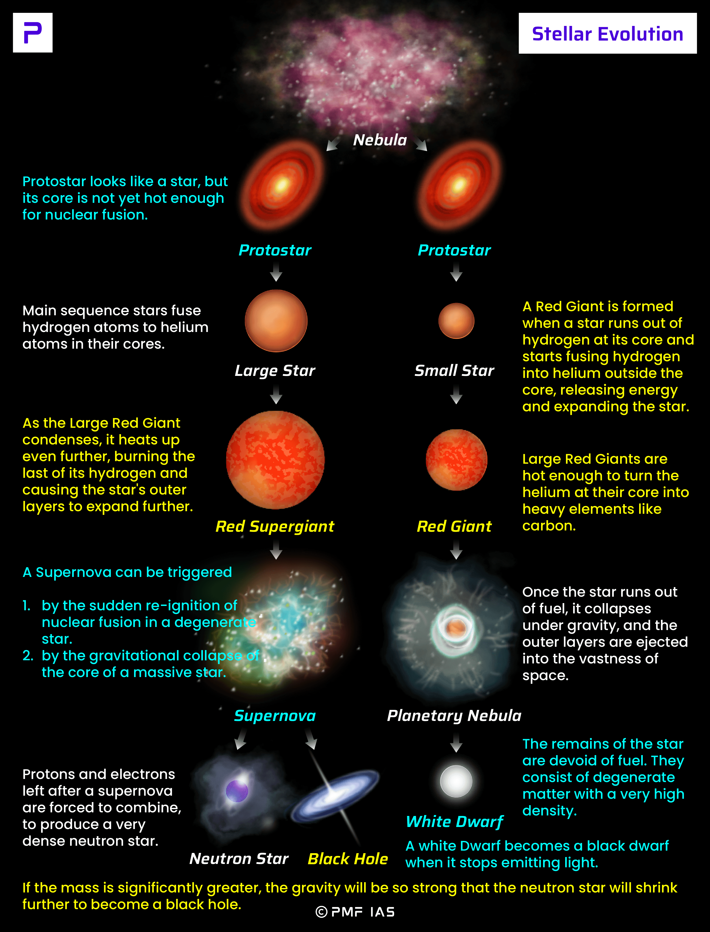 Supernova Rprocess
