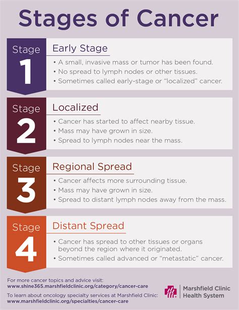 T Stage Cancer