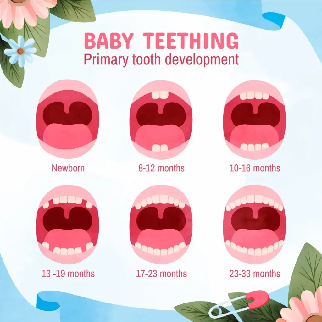 Teeth And Fillings