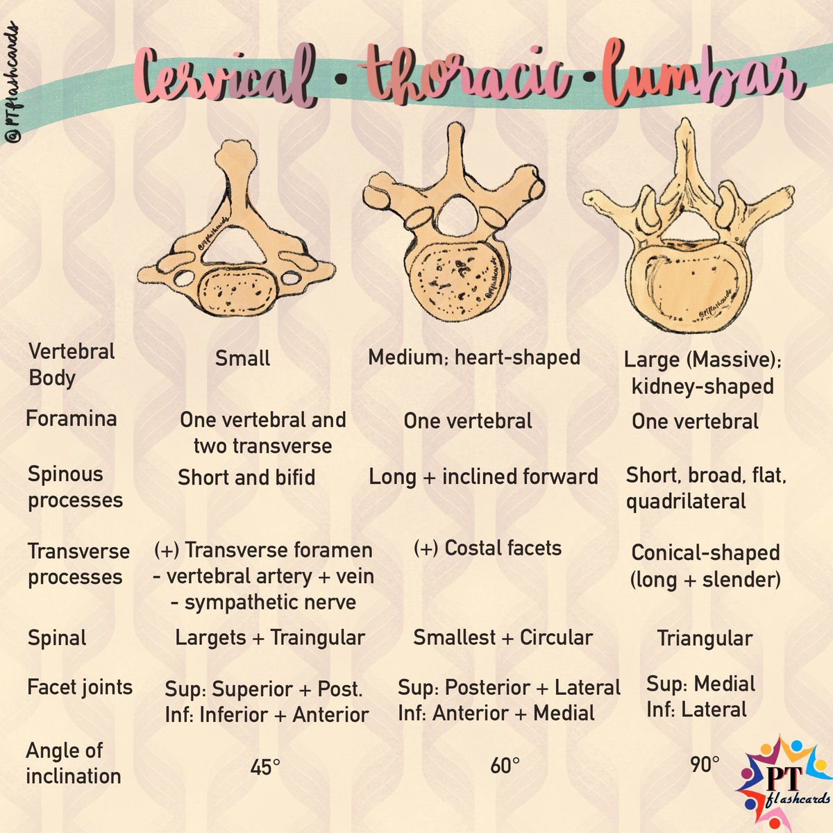 Thoracic Outlet Surgery