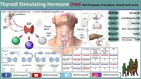 Thyrotropin 3Rd Generation