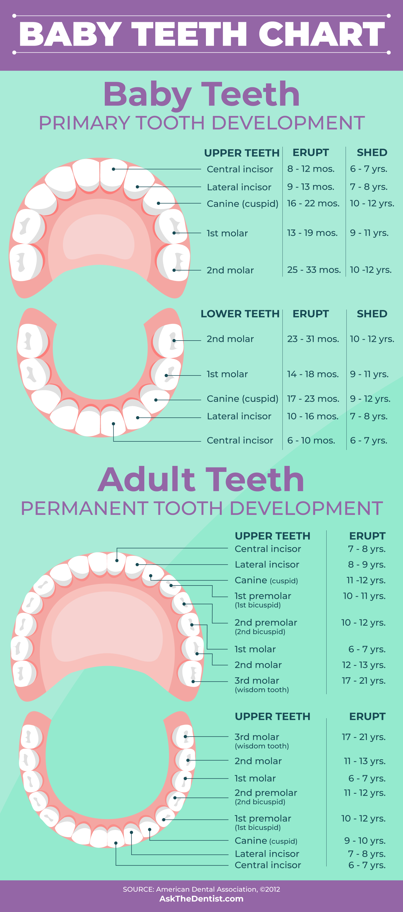 Tooth Nerve Pain