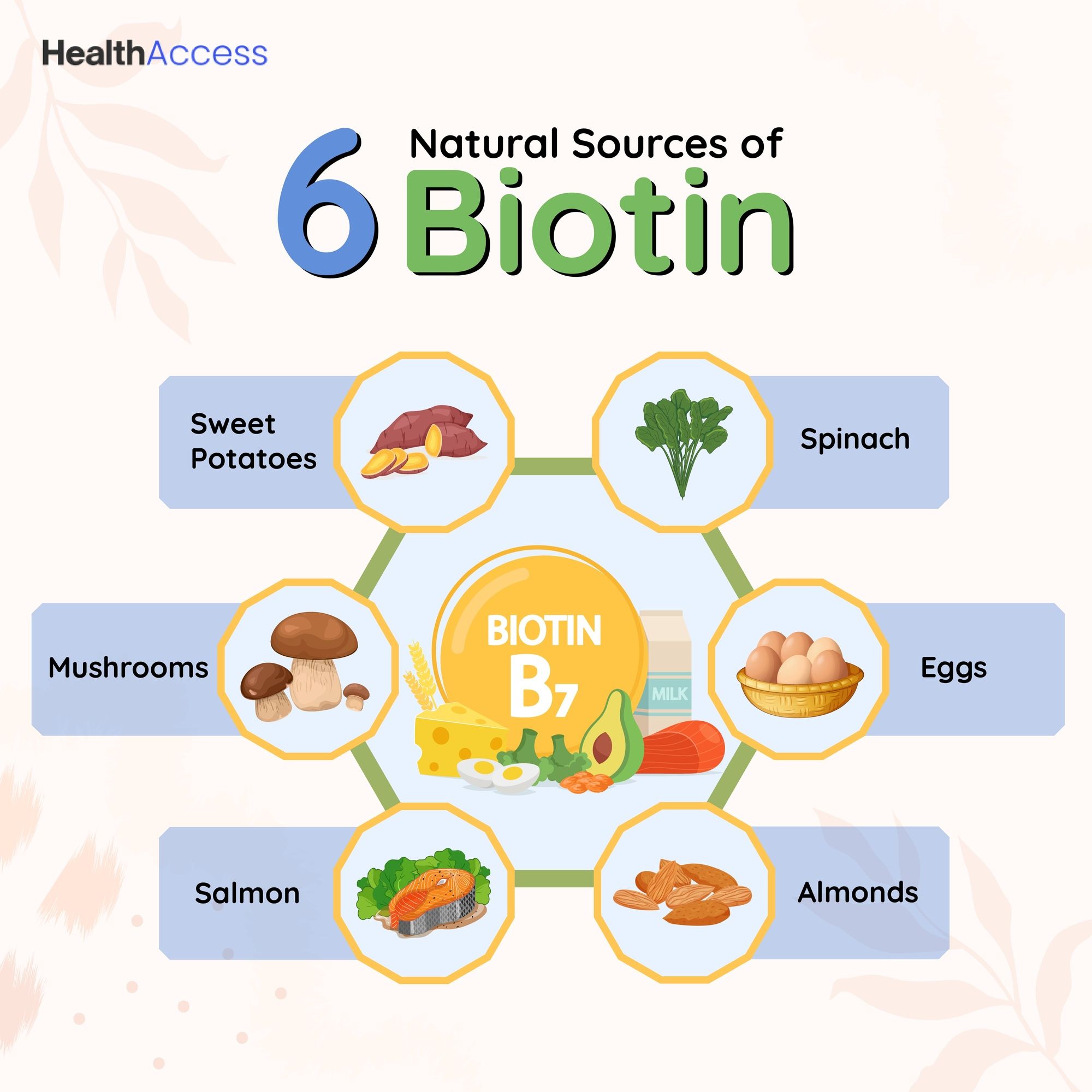 The Essential Guide To The Best Natural Sources Of Biotin