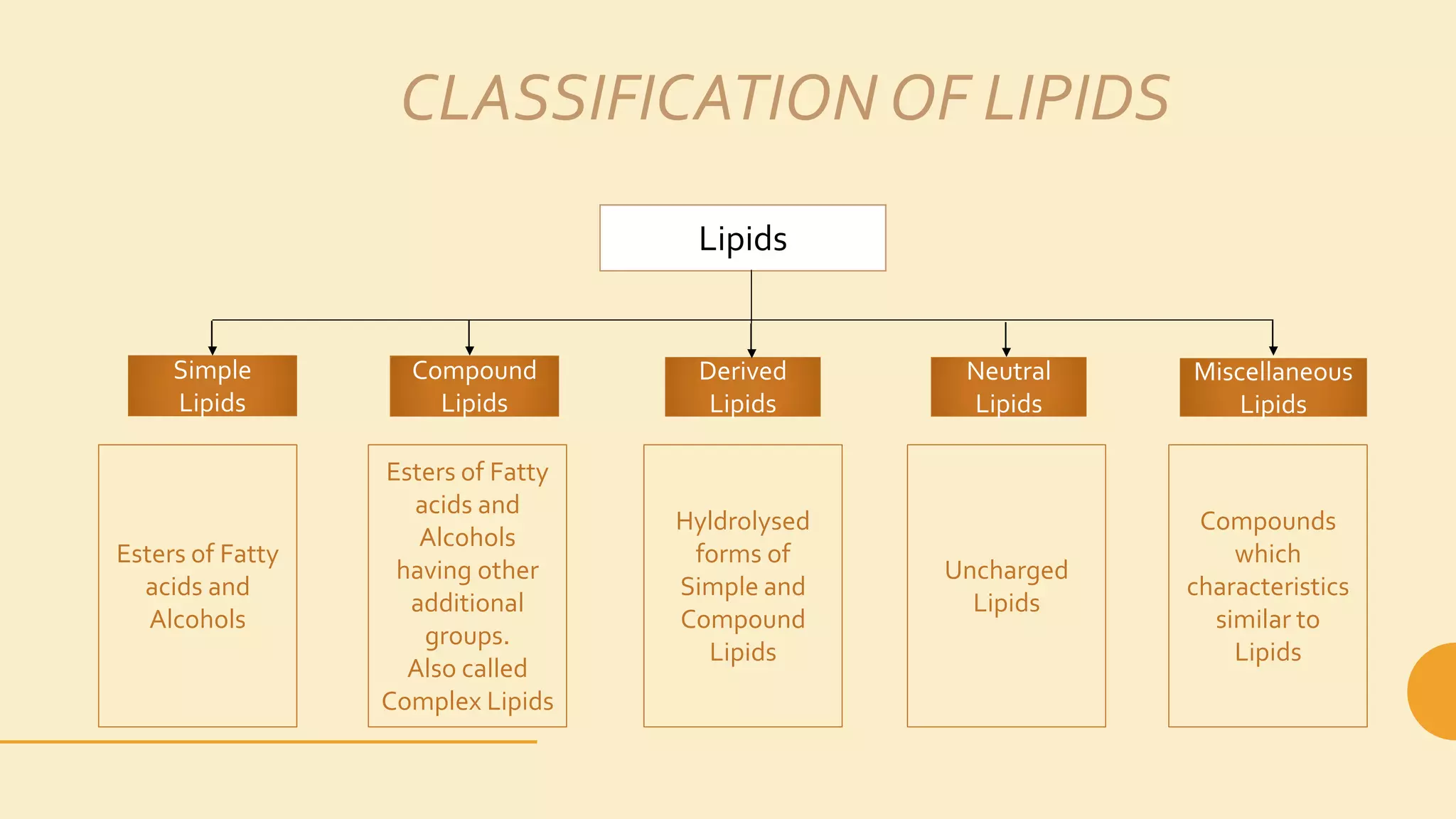 Beyond Energy: Decoding The Unique Properties Of Lipids