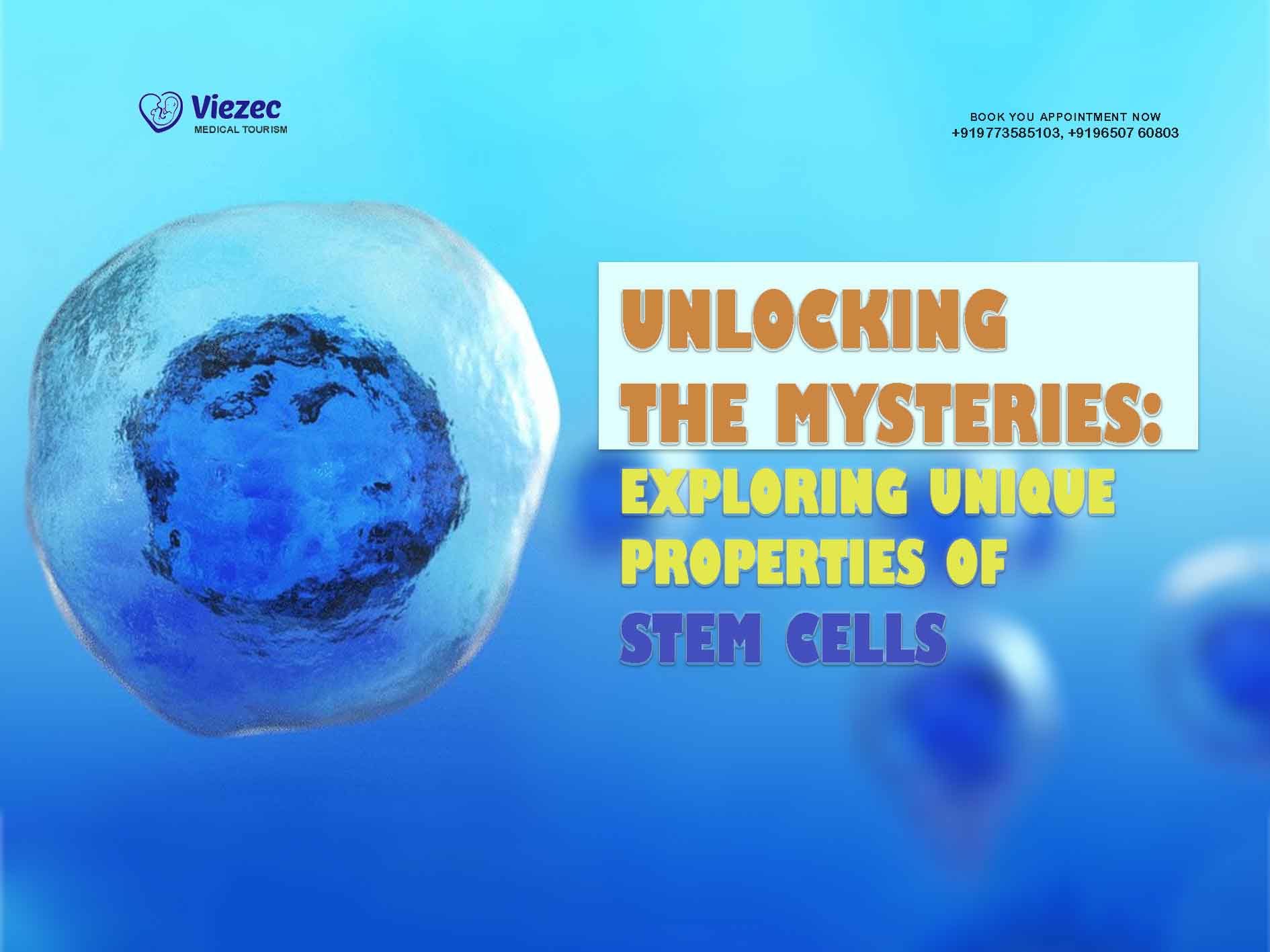 The Unique Properties Of Stem Cells Explained For 2026