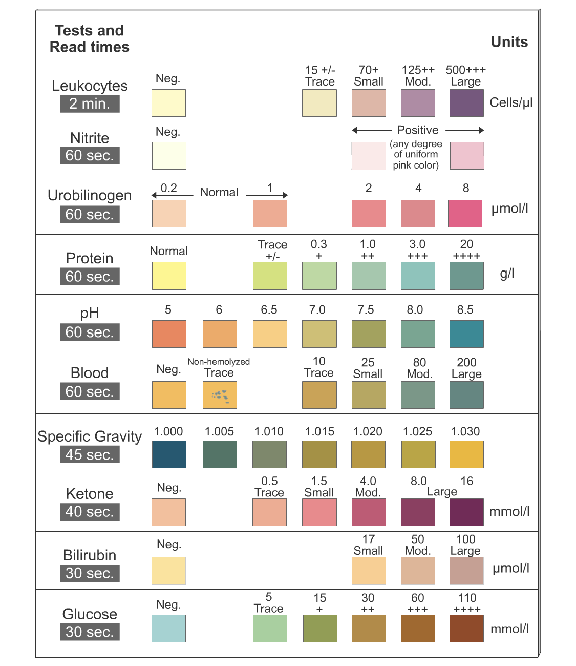 Urinalysis Normal Specific Gravity