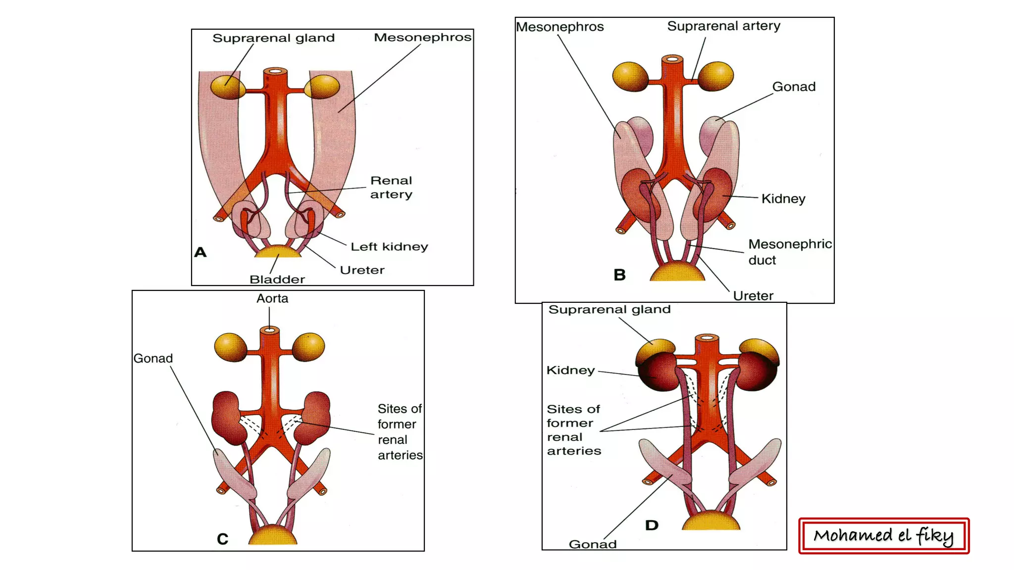 Urinary Opening Itching
