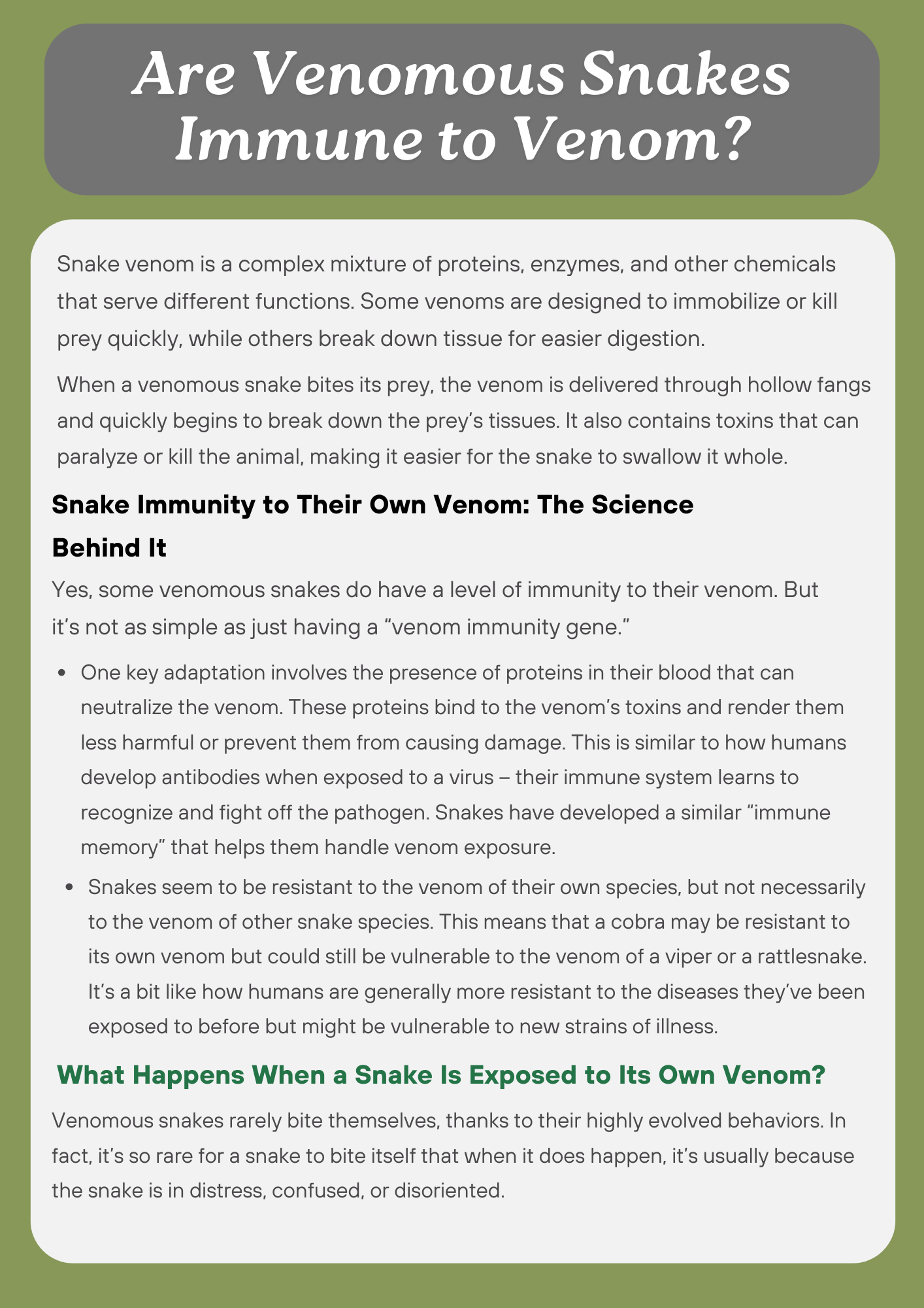 Venom Helmet Olympics
