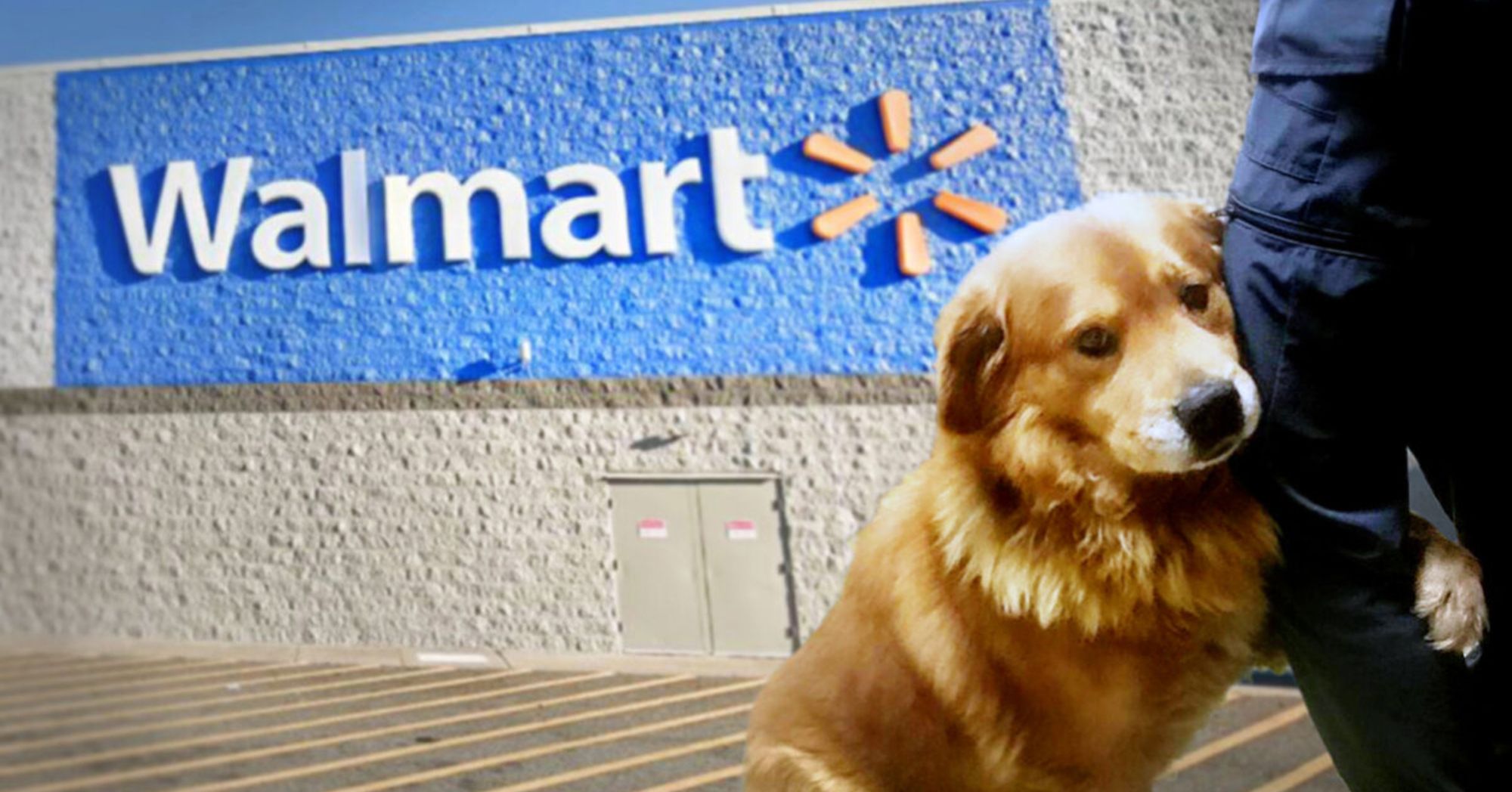 Walmart Overnight Stocker Pay