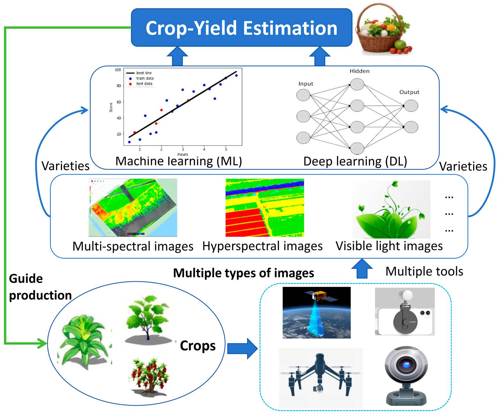 Optimizing Water Requirements Of Different Crops For Better Yields