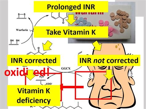 What Affects Inr