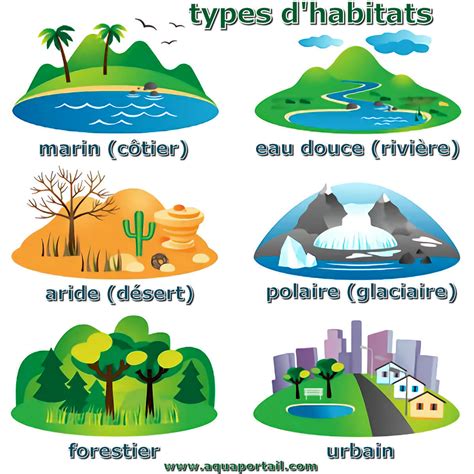 What Are Habitats