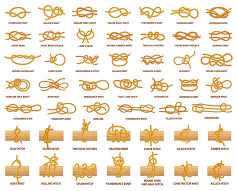 What Are Knots