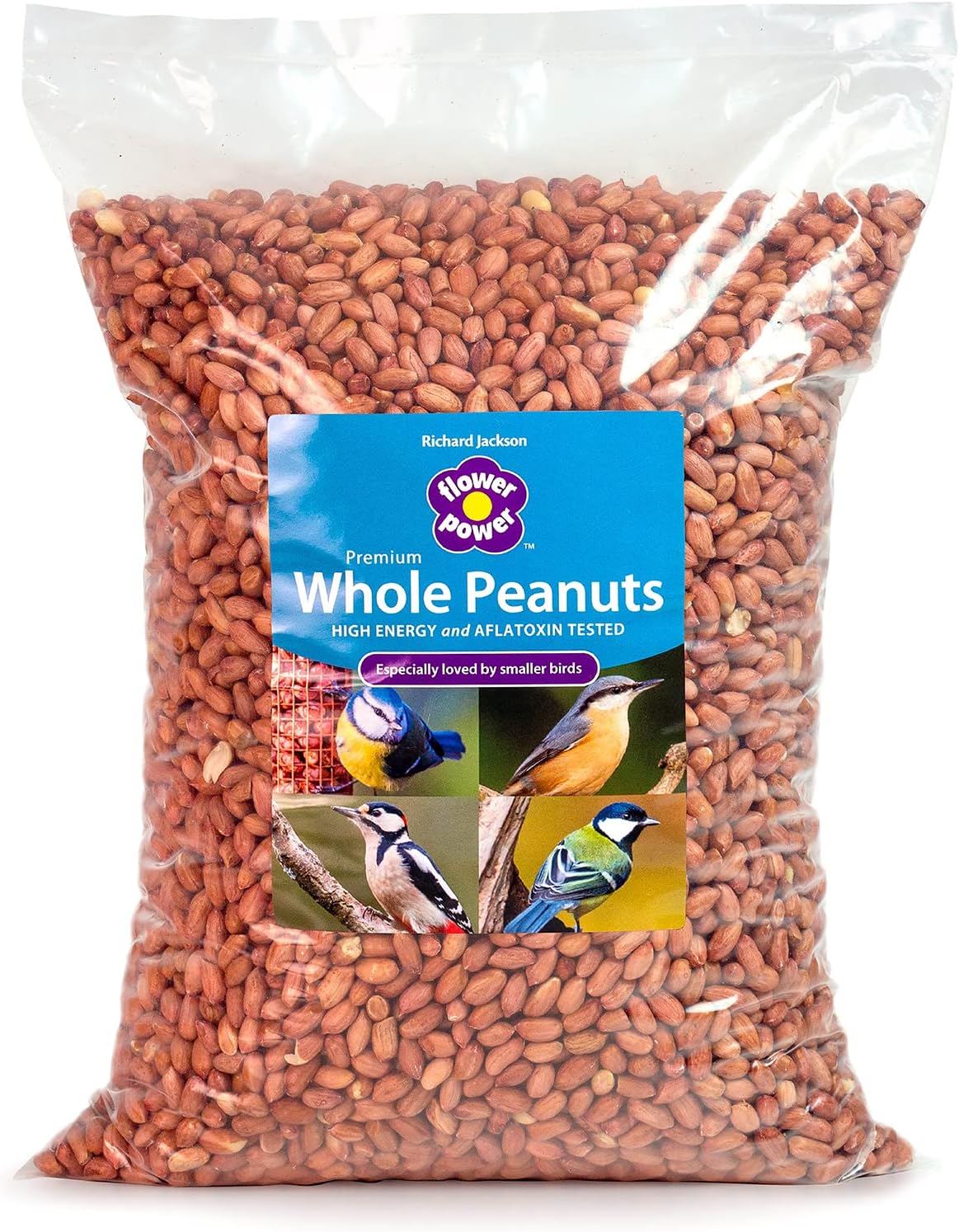 Which Wild Birds Eat Peanuts? A Backyard Feeding Guide