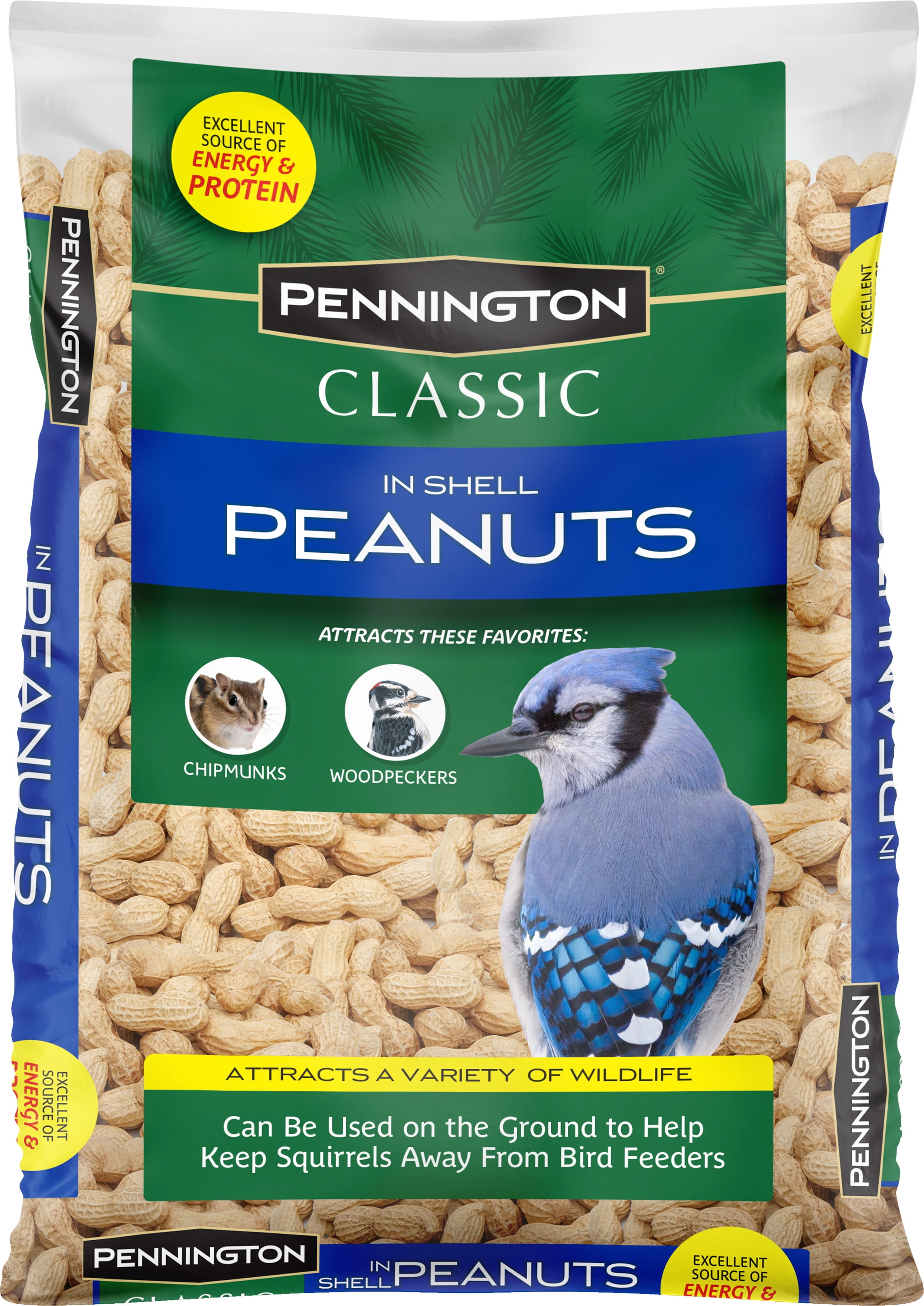 Which Backyard Birds Eat Unshelled Peanuts?