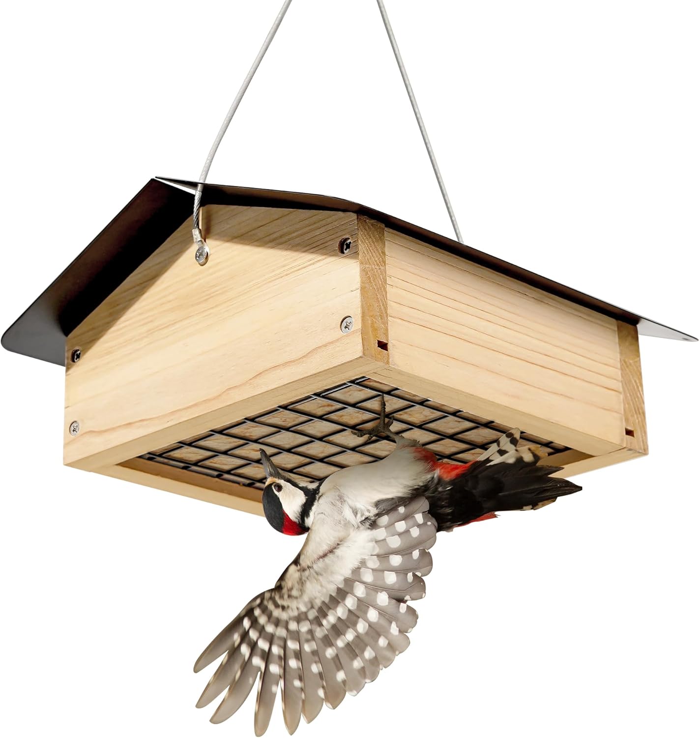 Which Garden Birds Feed Upside Down?