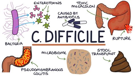 What Causes Cdiff Bacteria Infection