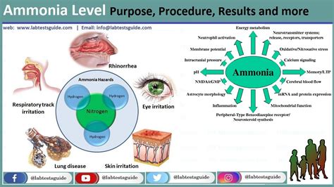 What Causes High Ammonia Levels