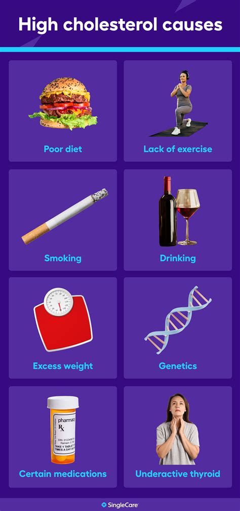 What Causes High Cholesterol