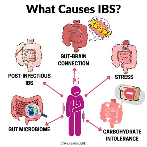 What Causes Ibs