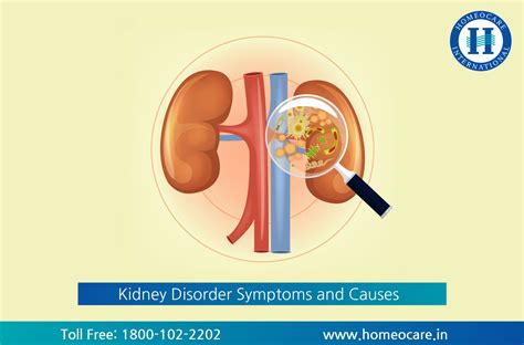 What Causes Kidney Disease