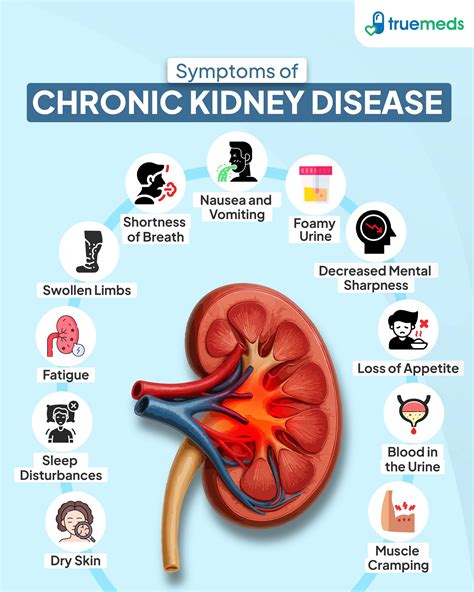 What Causes Kidney Problems