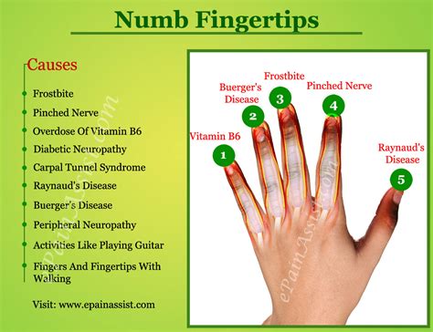 What Causes Numbness In Fingers