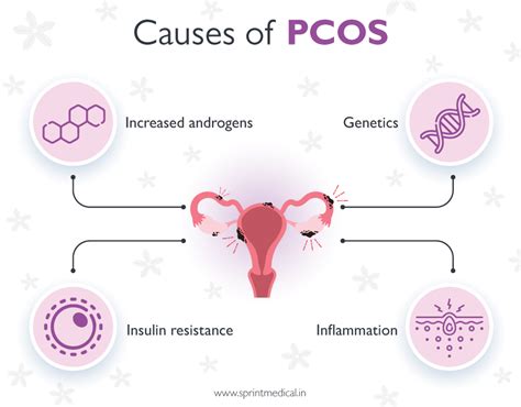 What Causes Pcos