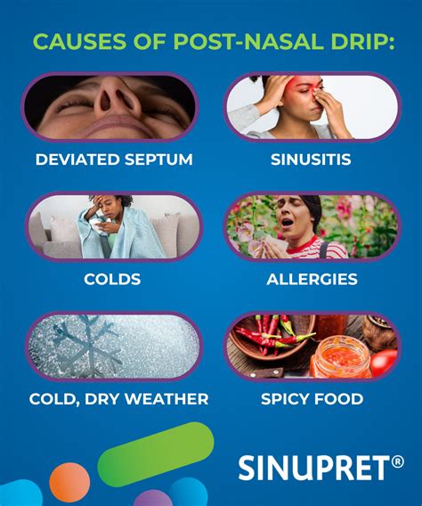 What Causes Post Nasal Drip