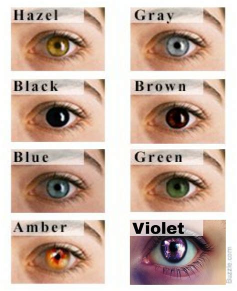 What Color Are My Eyes